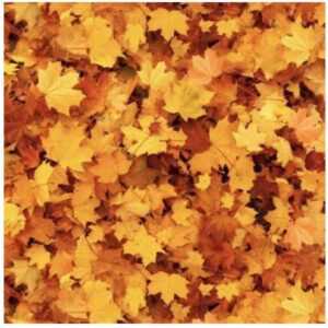 Autumn Leaves Quilting Fabric Digital Print 100% Cotton Fabric