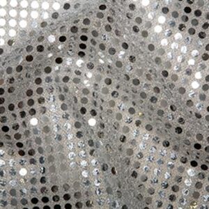 Sequin Mesh Fabric